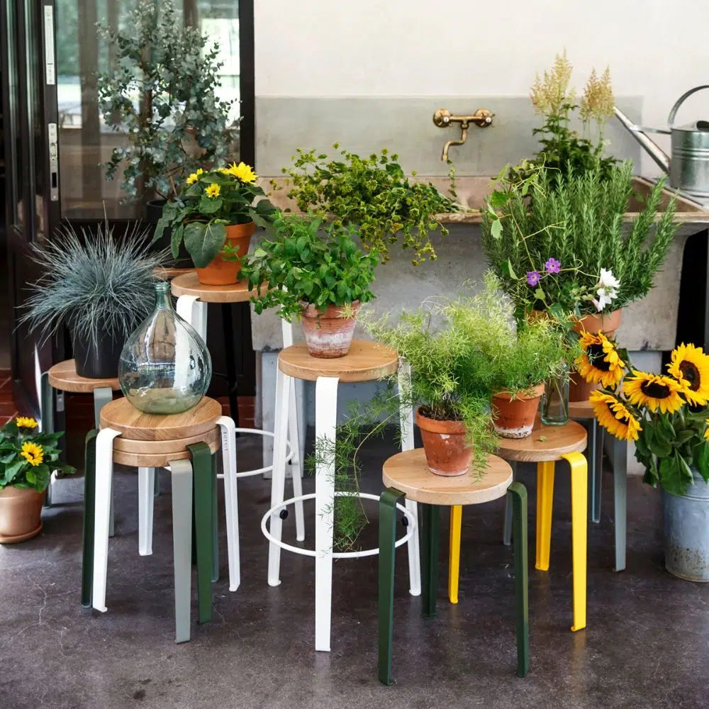 Tabouret LOU chêne- Gris Eucalyptus