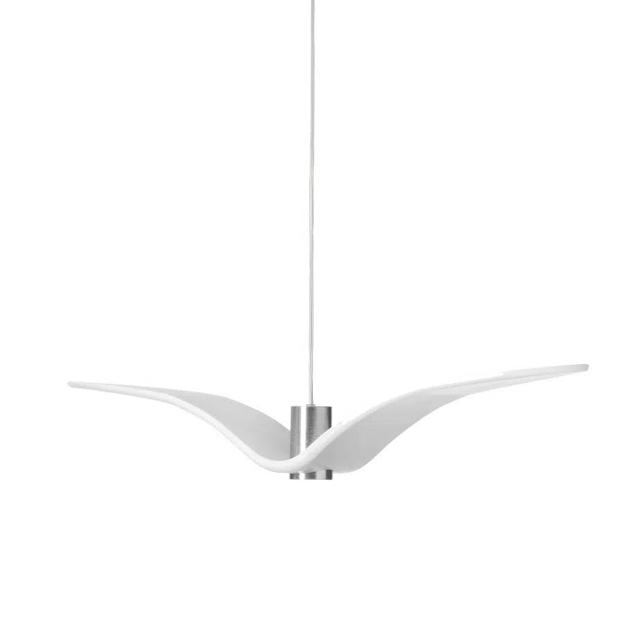 Night Birds