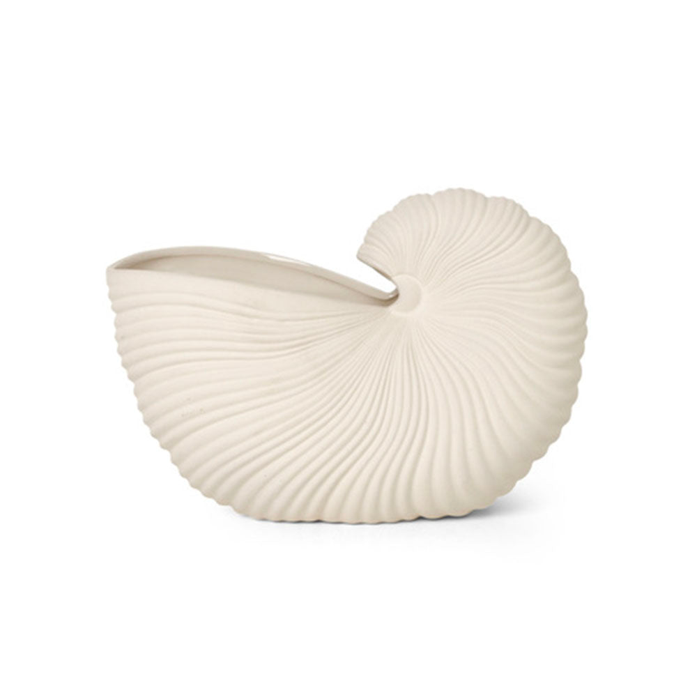 Coquillage