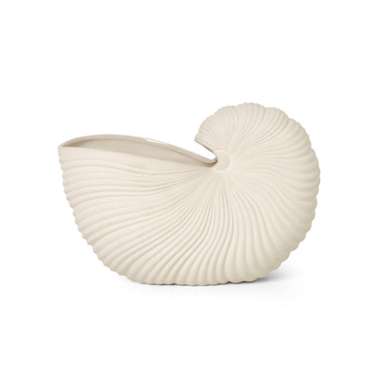 Coquillage