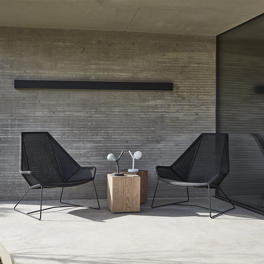 Ivy