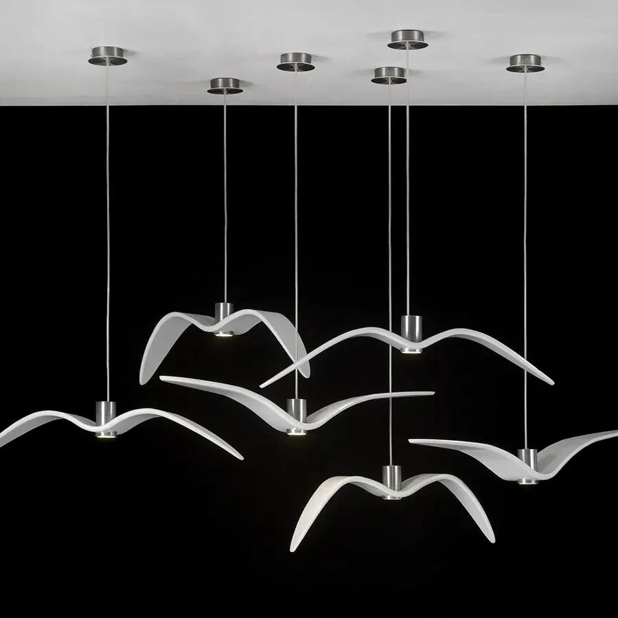 Night Birds