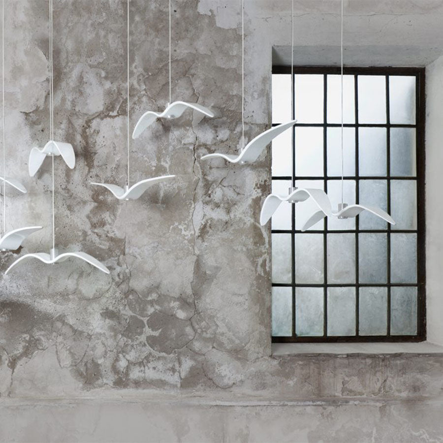 Night Birds