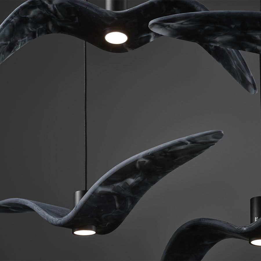 Night Birds